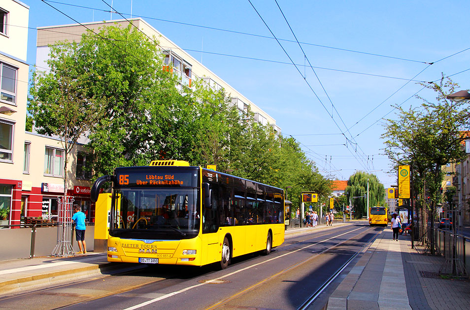 Ein Bus der Linie 85 in Dresden an der Zwinglistraße