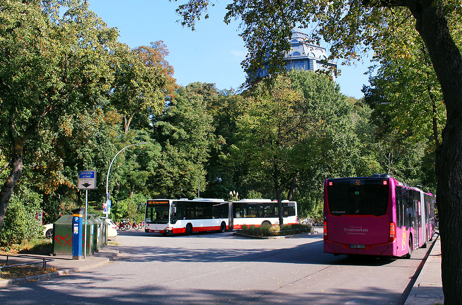 Zwei SEV Busse am Bahnhof Hamburg Sternschanze