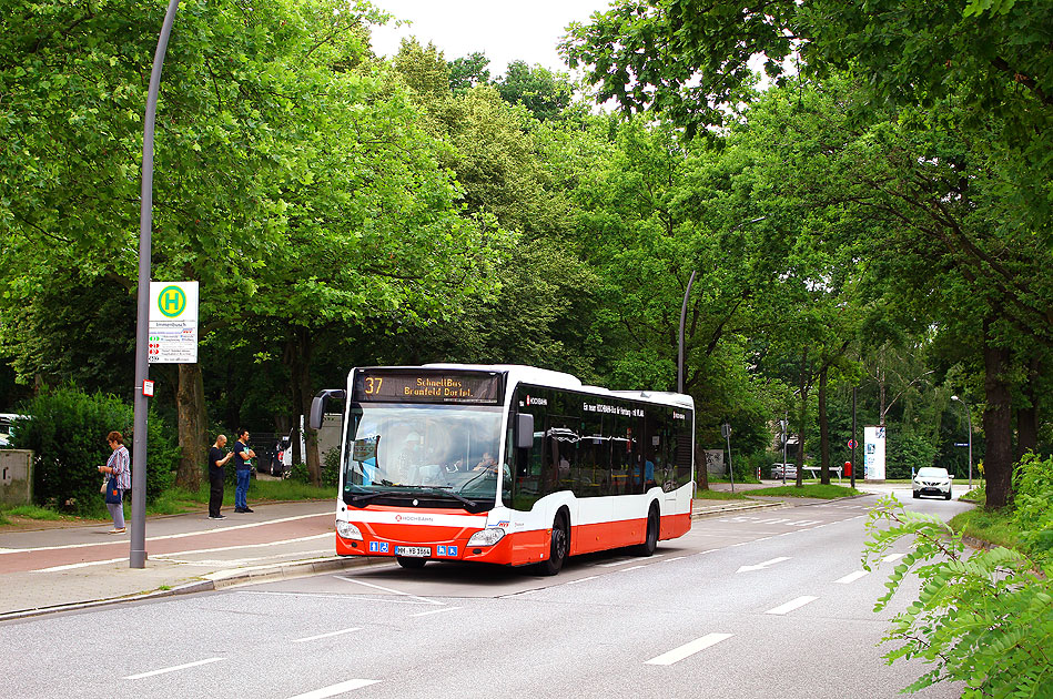 Ein Hochbahn Bus als Schnellbus am Osdorfer Born an der Haltestelle Immenbusch