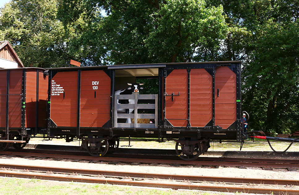 Der DEV Güterwagen 130 Bahnhof Heiligenberg