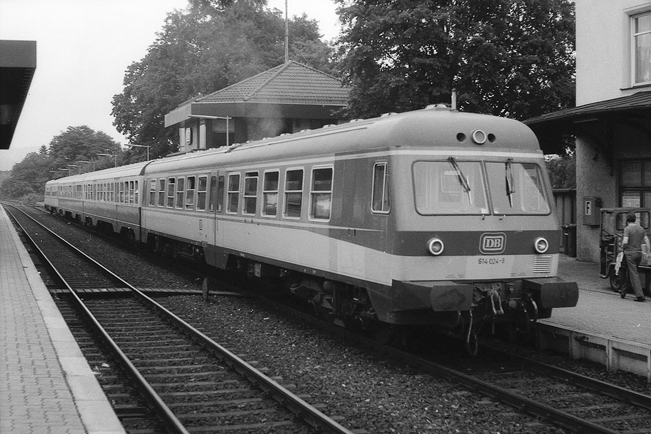 Ein Triebwagen der Baureihe 614 im Bahnhof Hersbruck rechts der Pegnitz