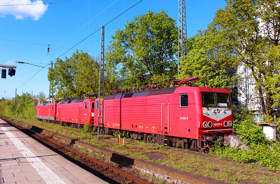 Drei Loks der Baureihe 143 im Bahnhof Hamburg-Altona