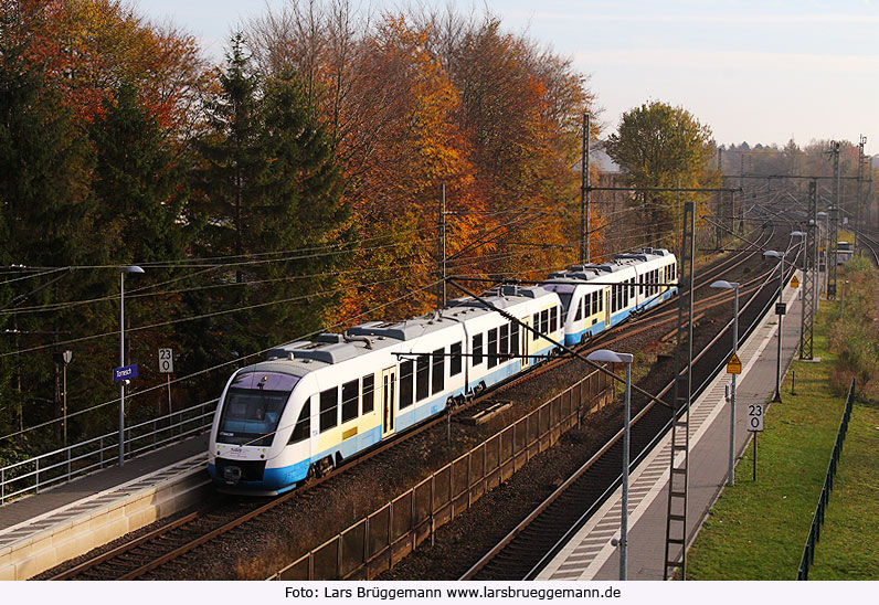 Lint Triebwagen vormals Mecklenburgbahn im Einsatz für die NOB im Bahnhof Tornesch