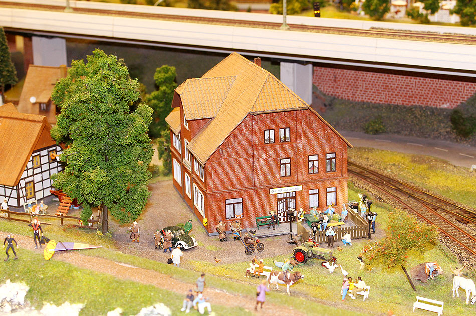 Neues aus Büttenwarder im Miwula in Hamburg