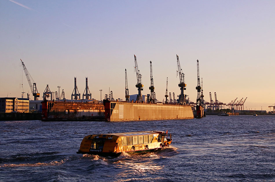 Die HADAG Rafiki in Hamburg auf der Elbe