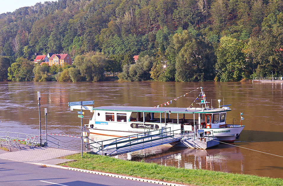 Die RVSOE Fähre Winterberg II am Anleger Bad Schandau Bahnhof
