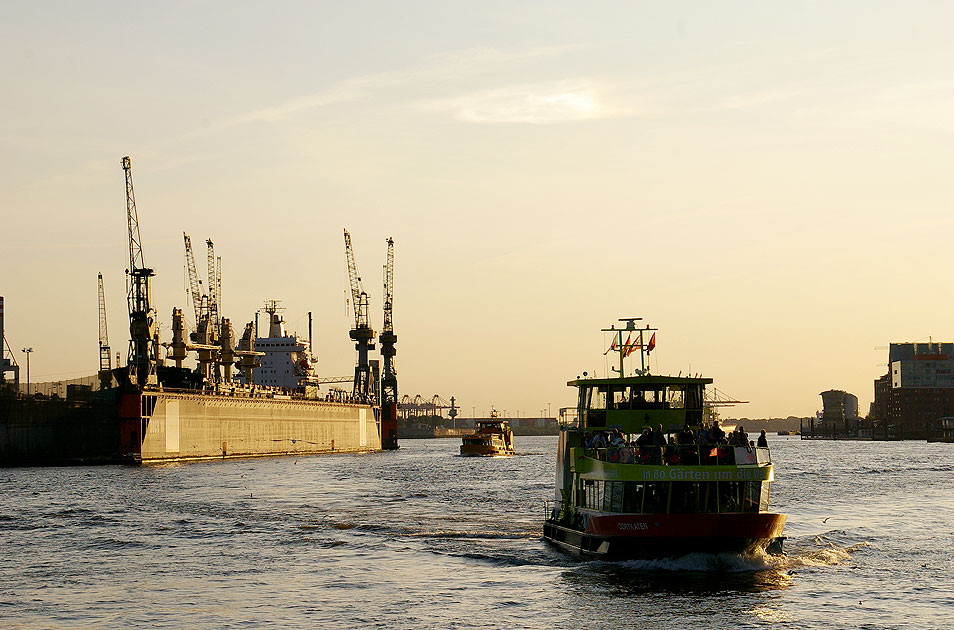 Ein HADAG Schiff auf der Elbe in Hamburg
