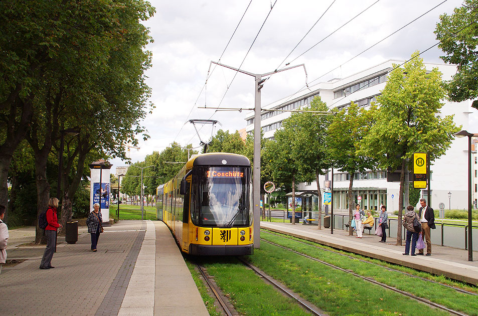 Die Haltestelle Carolaplatz der Straßenbahn in Dresden in Dresden