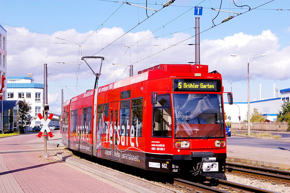 Die Straßenbahn in Erfurt an der Haltestelle An der Lache