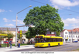 Elektromobilität: Der Elektrobus in Dresden