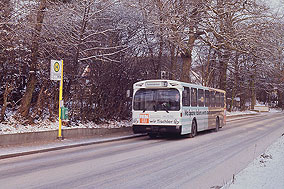 Haltestelle Sternbergweg - Buslinie 39 in Hamburg