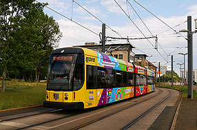 Die Pride-Tram - Stolz-Straßenbahn in Dresden