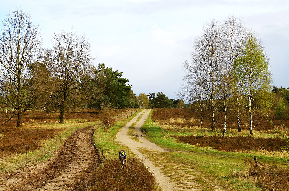 Die Lüneburger Heide bei Schneverdingen mit Reit- und Wanderwegen