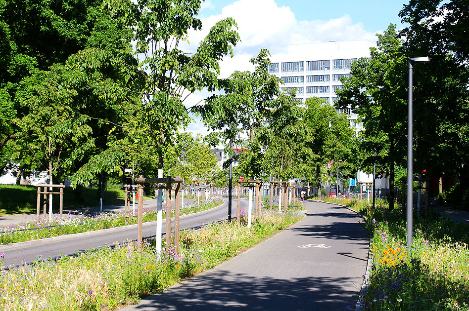Die Louise-Schröder-Straße in Hamburg-Altona-Altstadt