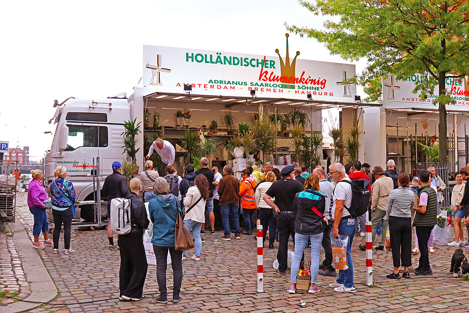 Holländischer Blumenkönig auf dem Fischmarkt in Hamburg