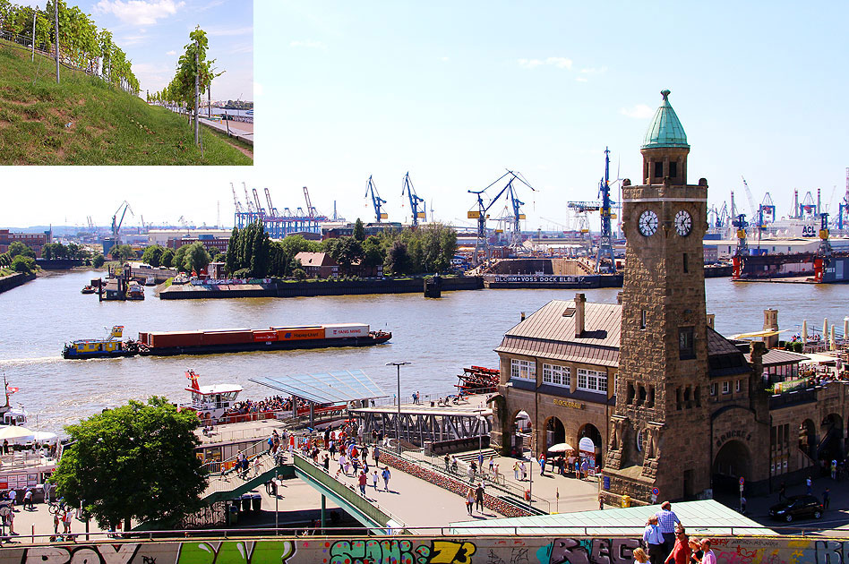 Die Erwähnung vom Weinberg auf dem Stintfang